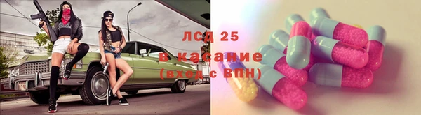 стафф Иннополис