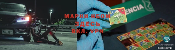 стафф Иннополис