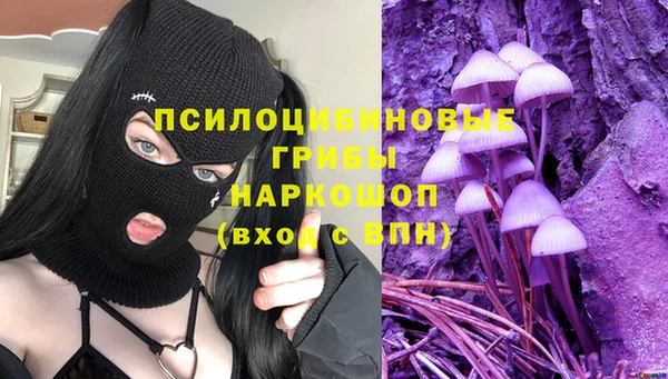марки nbome Инсар